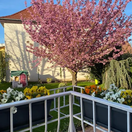 Le Jardin Apartamento *