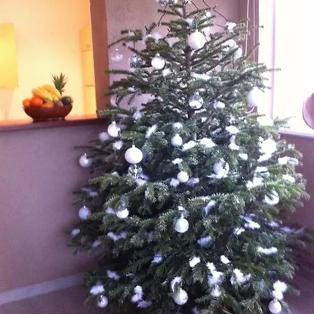 Le Jardin Lingolsheim