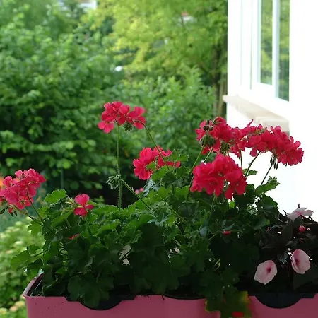 Le Jardin Lingolsheim