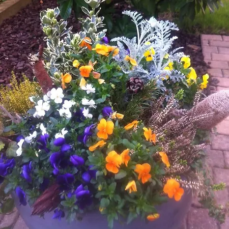 Apartamento Le Jardin *