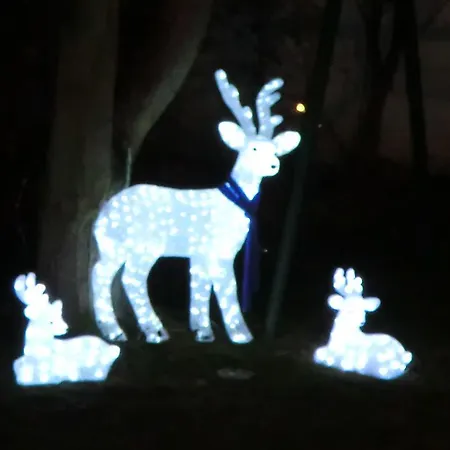 Le Jardin Lingolsheim