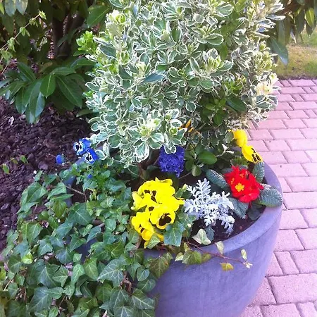 Le Jardin Apartamento Lingolsheim