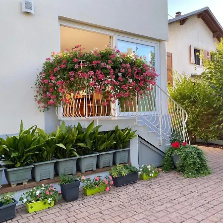 Le Jardin Lingolsheim